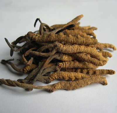 冬虫夏草是什么味道